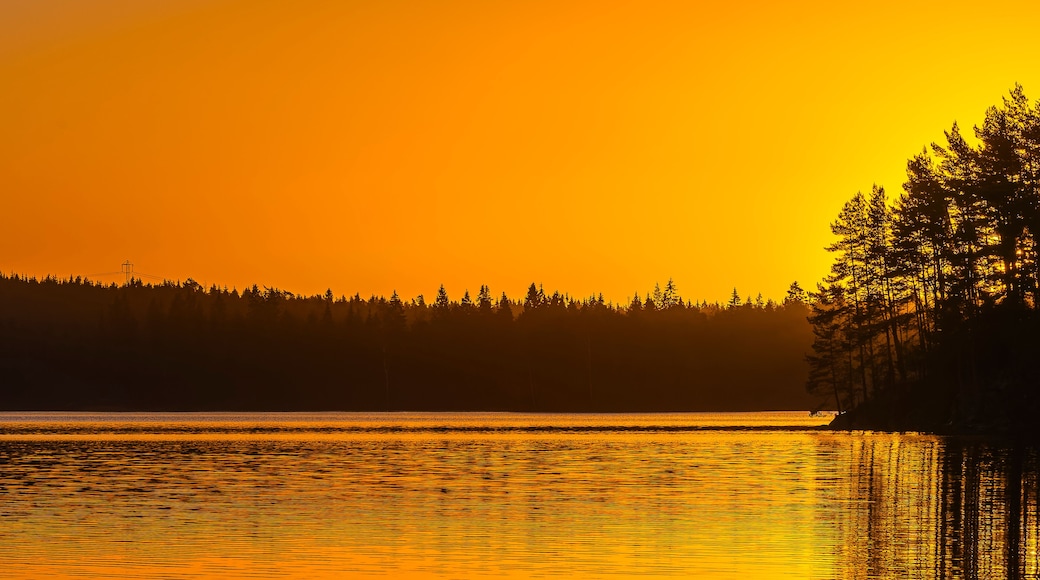 Sunrise at a lake near Gothenburg in Sweden with trees along the shoreline and a bright orange sky