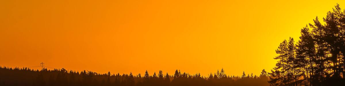 Ein Sonnenuntergang über einem ruhigen See mit bewaldeter Uferlinie.