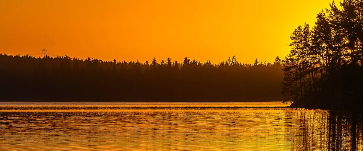 Un coucher de soleil sur un lac paisible, bordé d’une forêt.