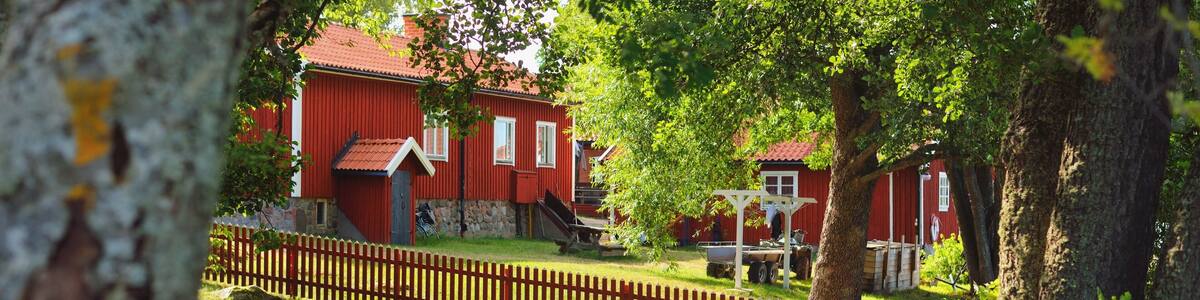 Village in a green forest. Traditional house colored with falu red dye, summer garden. Björkö island, lake Mälaren, Sweden. Pure nature, environment ecotourism, vacations. Panoramic view