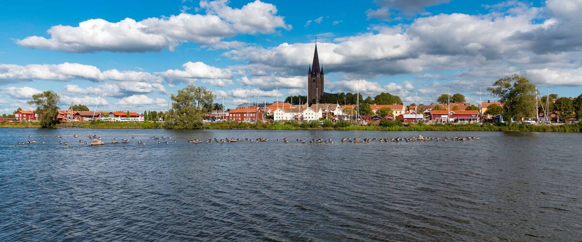A river with ducks, a church with a tall spire, and red-roofed buildings.