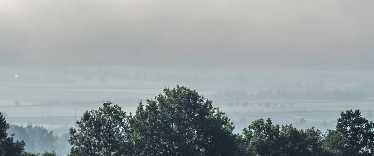 A mist-covered hill with trees in the foreground.