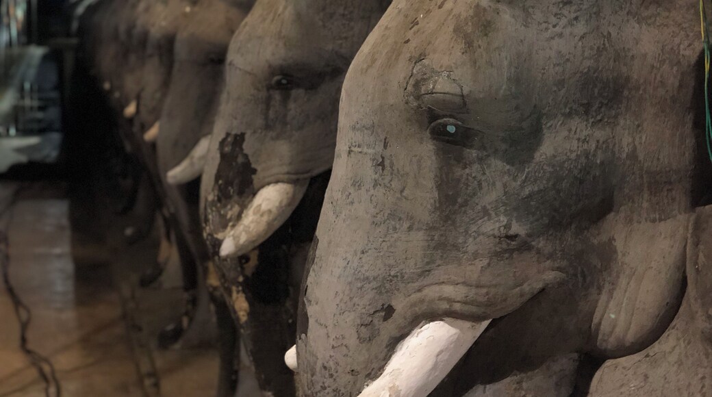 One of the stupas in ancient city Anuradhapura