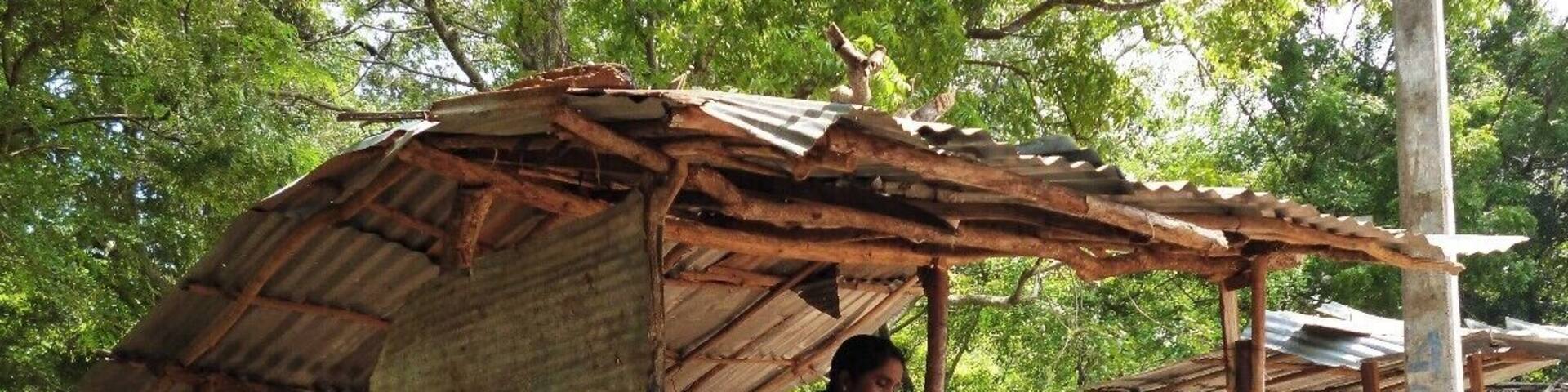 As we walked 12km along the roads of Anuradhapura, we felt too tired. Fortunately, this poor looking shop was there. Though the appearance is so, Orange juice made by this lady is delicious. It completely reduced our thirst and tiresome nature.
People in these poor villages prefer to do these kind of shops in order to earn something more. Their principal way of earning is agriculture. But it's really difficult to overcome the battle of living as they don't have enough money even to buy primary necessities.