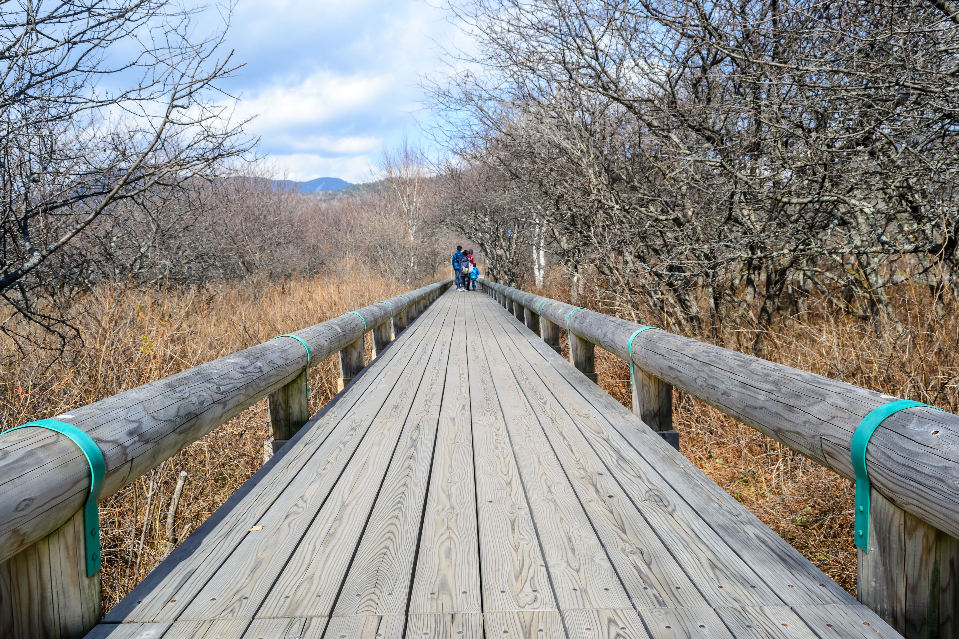 Wooden pathway at senjogahara moor , Nikko in Japan