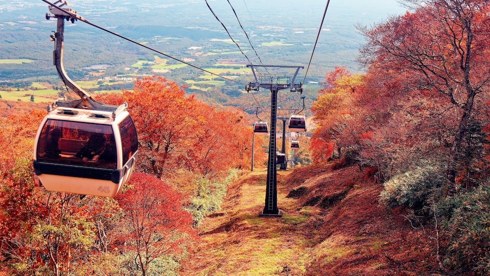 Eine Seilbahn fährt einen Berg hinauf, umgeben von Herbstlaub.