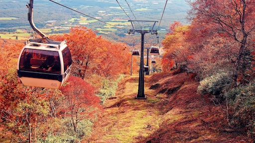 Scenery of Nasu Gondola gliding among beautiful fall colors on the hillside of Mountain Jeans, which is famous for leaf-peeping in autumn and skiing in winter, in Nasu, Tochigi Prefecture, Japan
