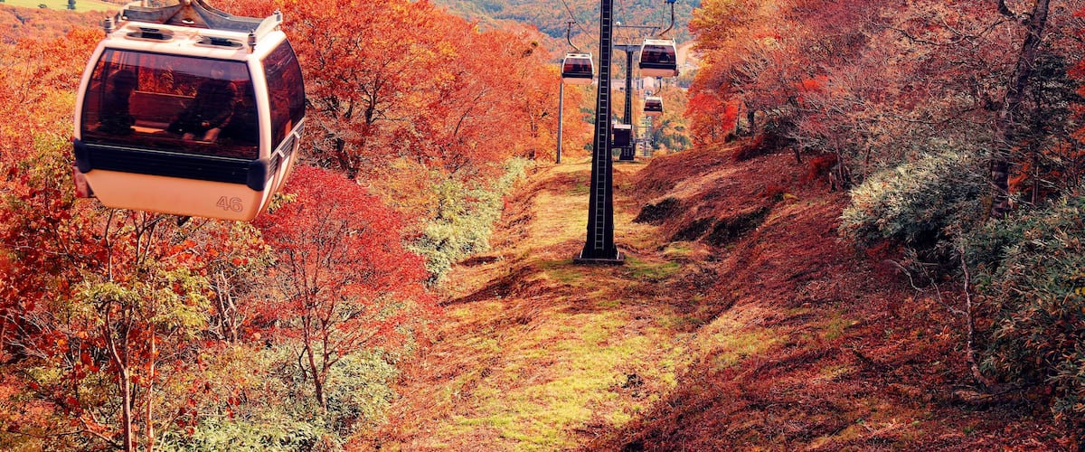 A cable car ascending a mountain with autumn foliage.