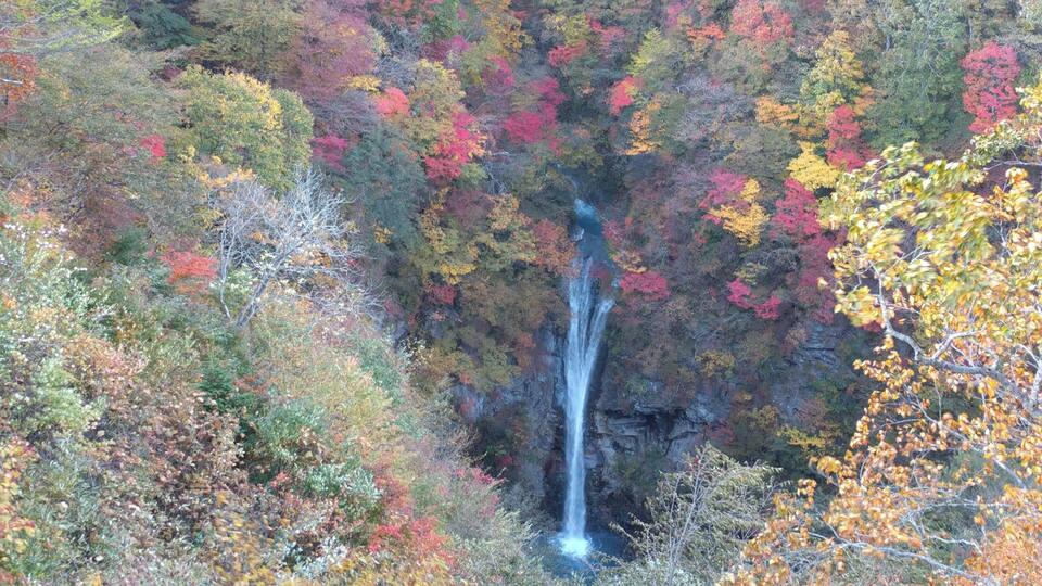 A waterfall surrounded by autumn foliage.