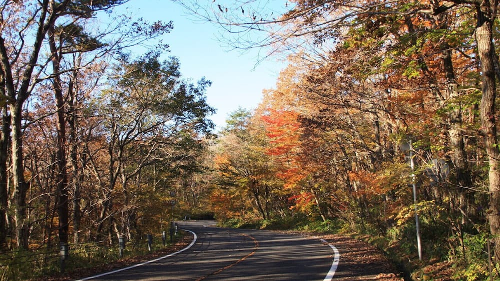 A winding road through a forest with autumn foliage.
