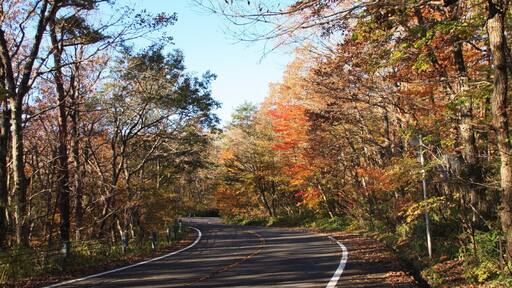 Yumoto, Nasu, Nasu District, Tochigi Prefecture 325-0301, Japan
