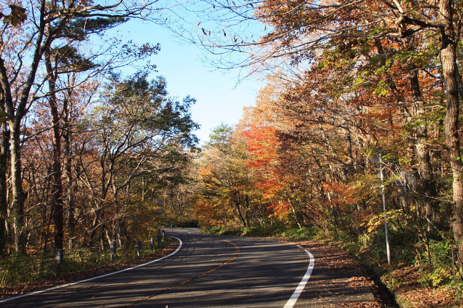 A winding road through a forest with autumn foliage.