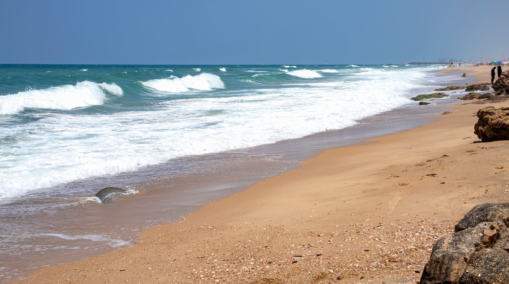 Ashkelon