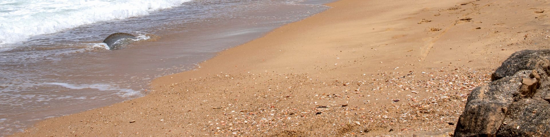 A sandy beach with waves, rocky outcrops, and a clear blue sky.