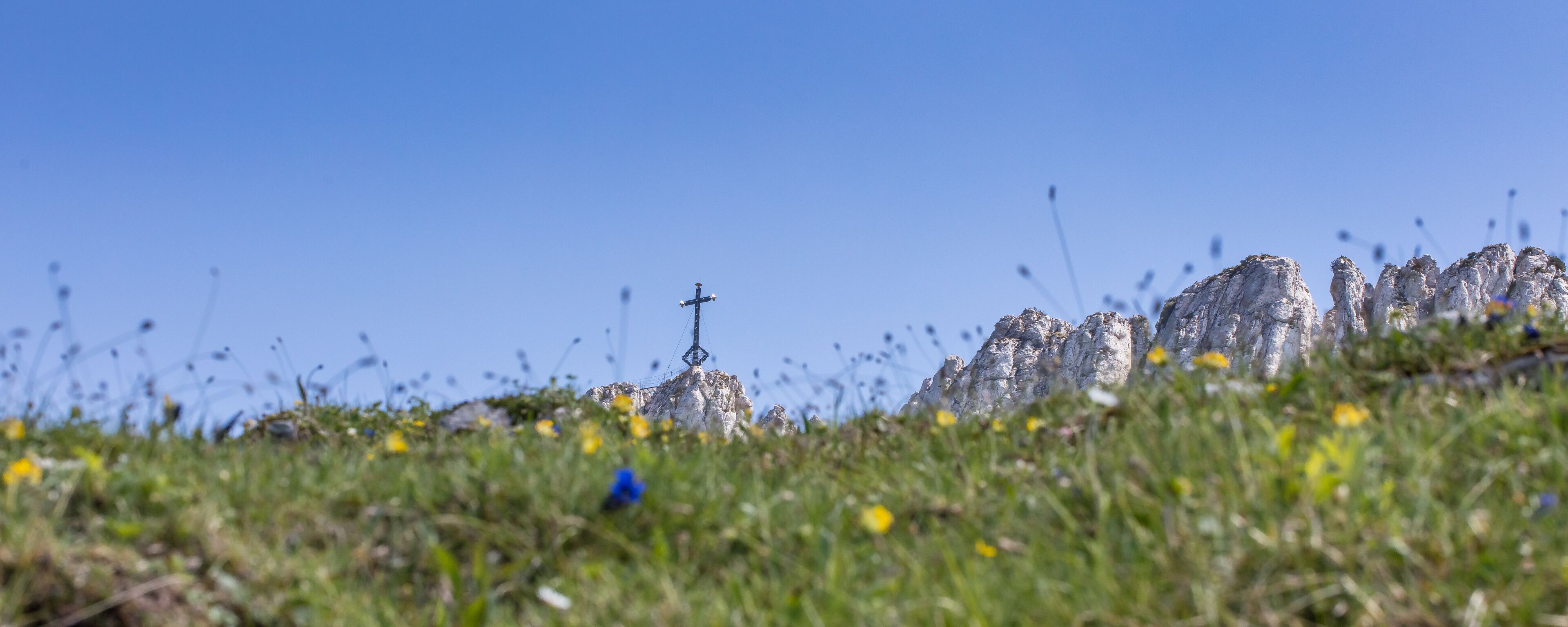 steinlingalm mit kampenwand