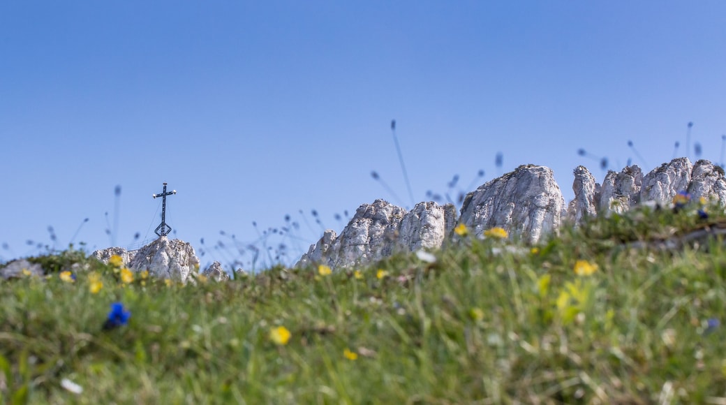 steinlingalm mit kampenwand