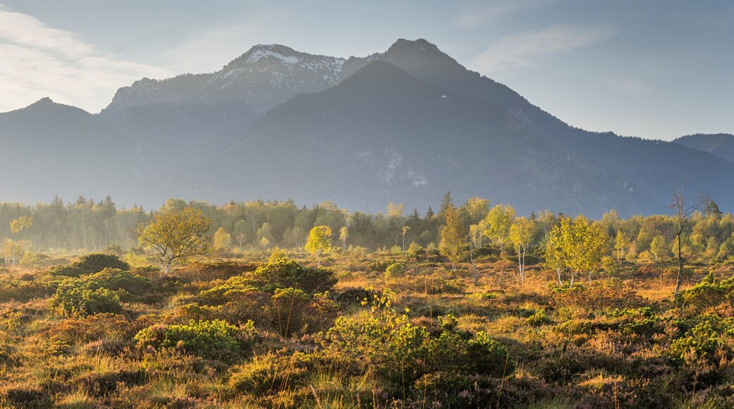 Grassau