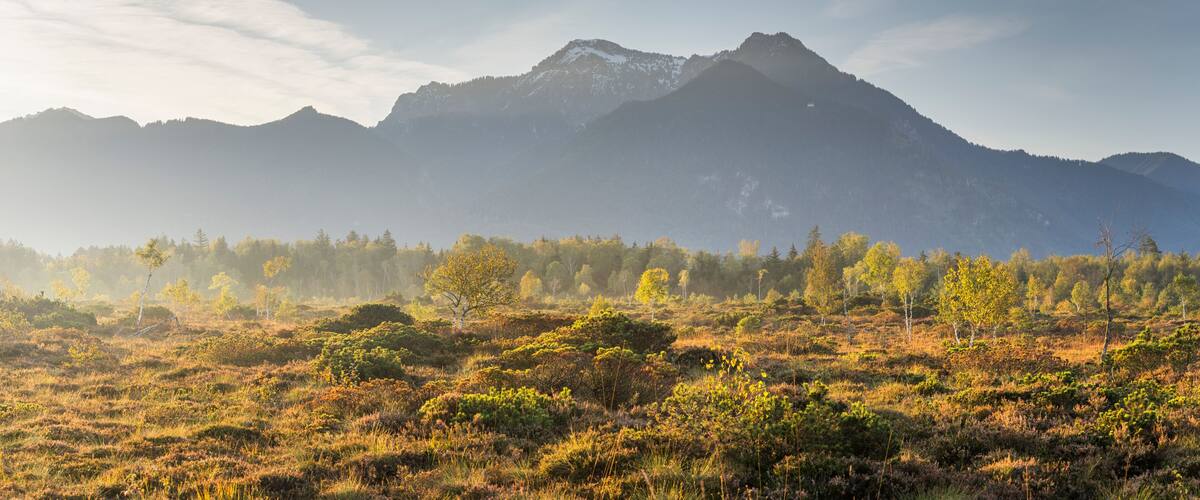 Kendlmühlfilzen Moor, Grassau, Allgäu, Bayern, Deutschland
