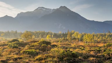 Paisagem montanhosa com vegetação rasteira em primeiro plano e céu limpo.