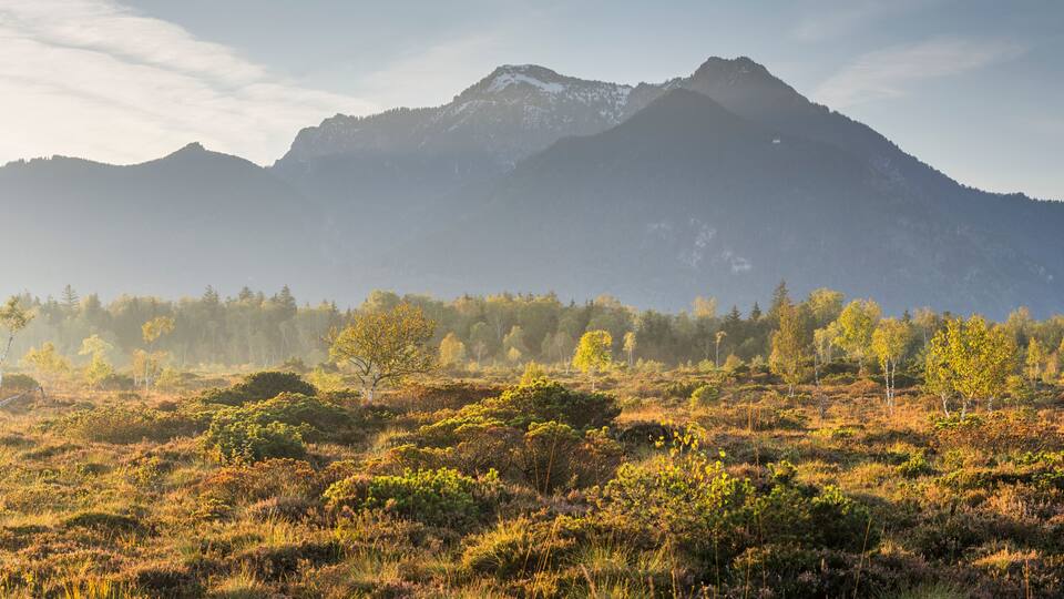 A mountainous landscape with a foreground of low-lying vegetation and a clear sky.