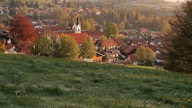 A village with houses, a church, and rolling hills.