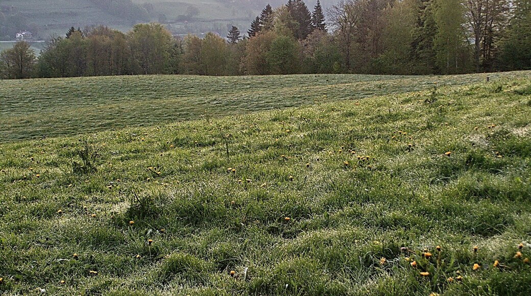 Guggenberg 古根柏