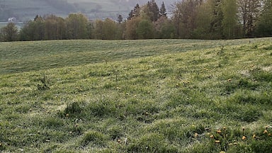 Guggenberg 古根柏