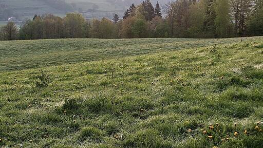 Guggenberg 古根柏