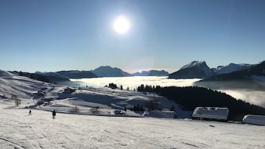 Pleasant afternoon in Le Grand Bornand - Alps
Nice slopes for skiers and snowboarders
#france #legrandbornand #lifeatexpedia #alps
