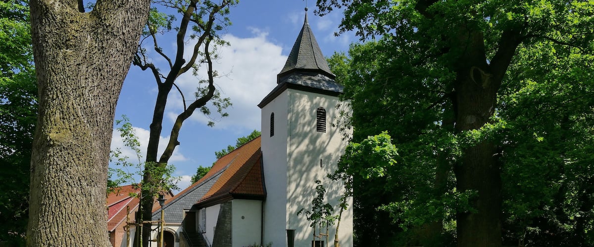 A church with a tall steeple surrounded by trees and a grassy area.