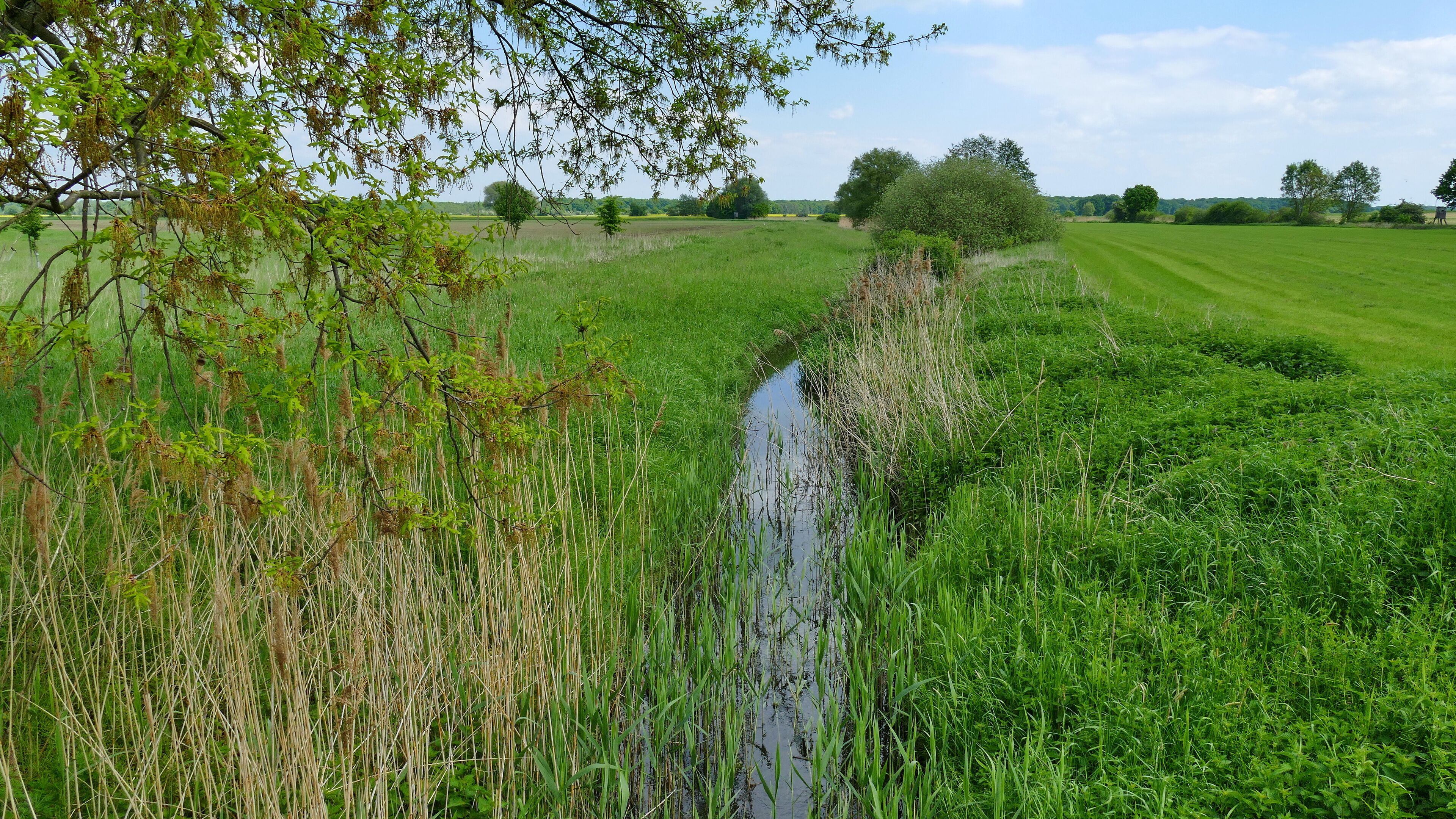 LSG-H 60 - Billerbachwiesen: In diesem Landschaftsschutzgebiet werden vorrangig die Niederungsbereiche des hier abgebildeten Billerbaches geschützt.