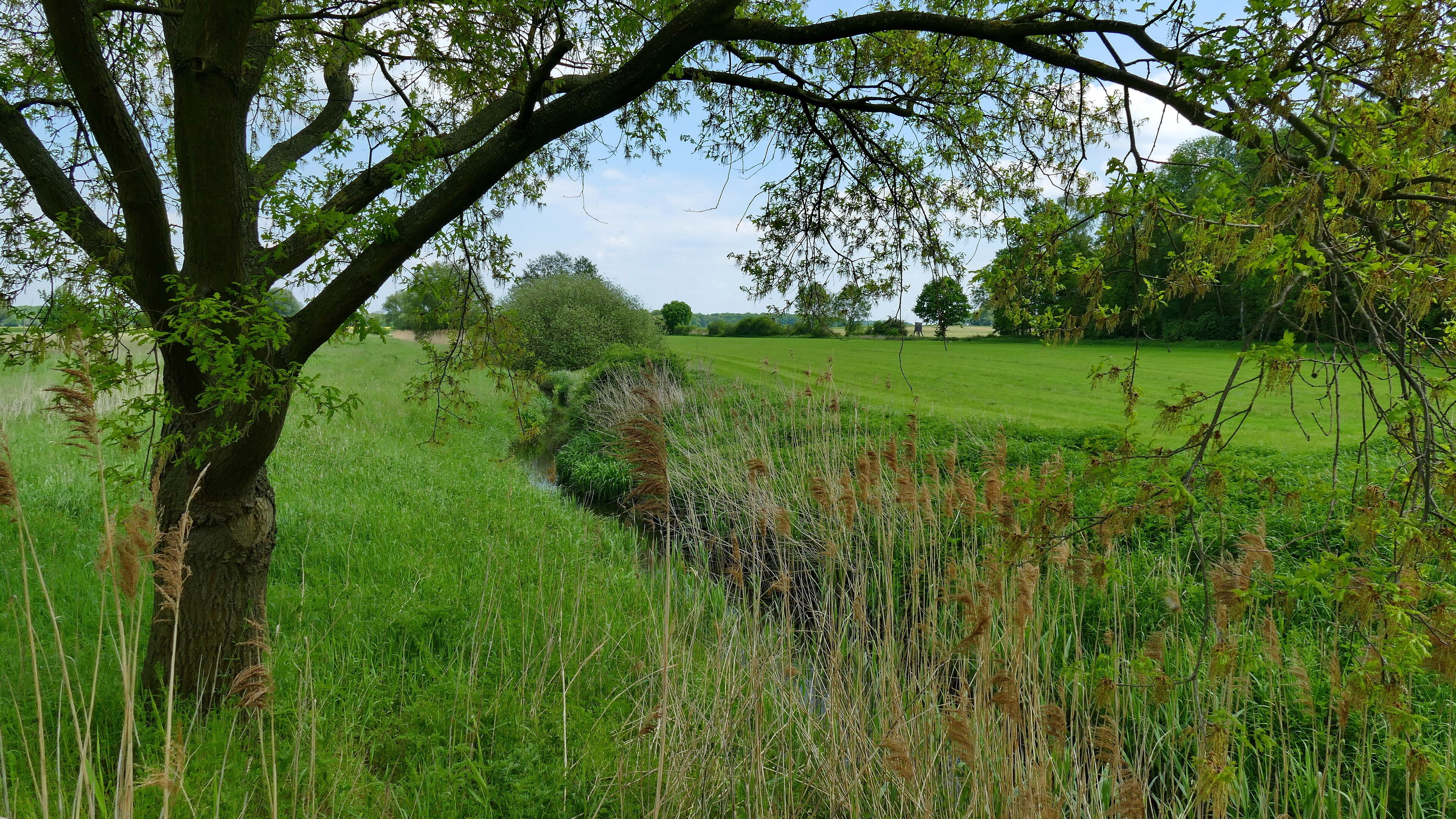 LSG-H 60 - Billerbachwiesen: In diesem Landschaftsschutzgebiet werden vorrangig die Niederungsbereiche des hier abgebildeten Billerbaches geschützt.