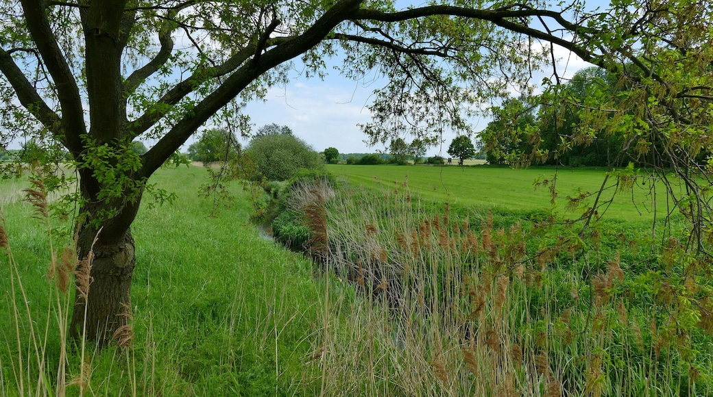LSG-H 60 - Billerbachwiesen: In diesem Landschaftsschutzgebiet werden vorrangig die Niederungsbereiche des hier abgebildeten Billerbaches geschützt.