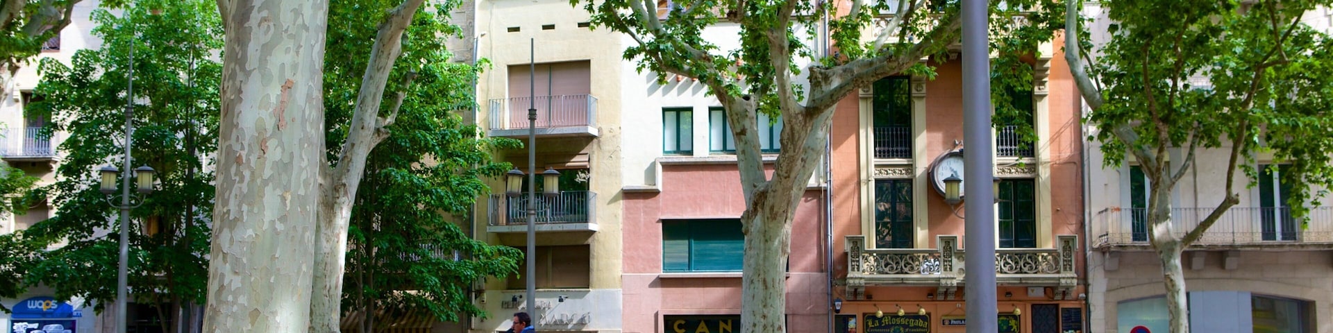 Una calle peatonal bordeada de bancos, árboles y un edificio con balcones.