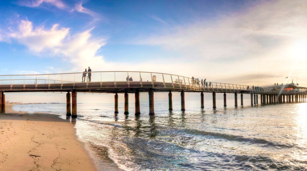 利多迪卡馬約雷