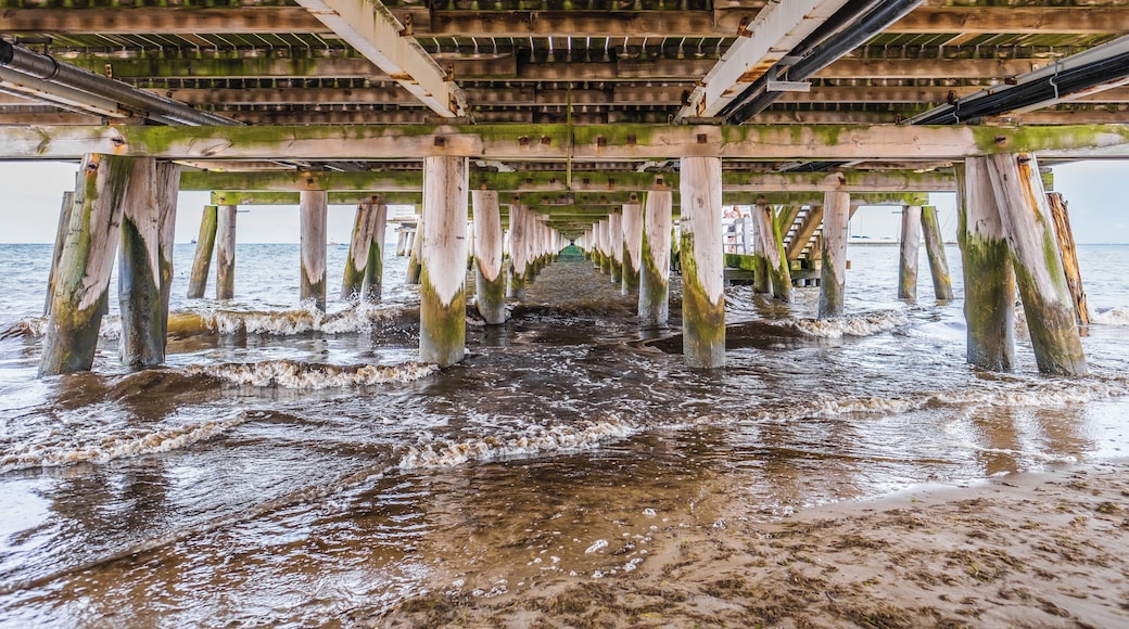 When the top of the pier is too busy during the day, take a photo below it !