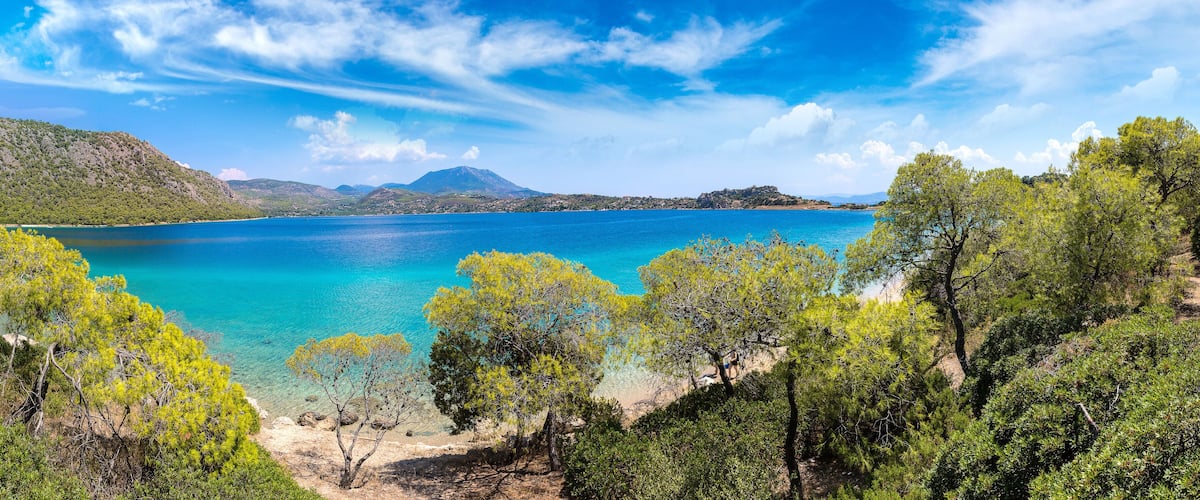 A coastal landscape with clear turquoise waters, green hills, and dense pine trees.