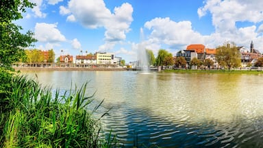 A lake with a fountain, surrounded by trees and buildings.