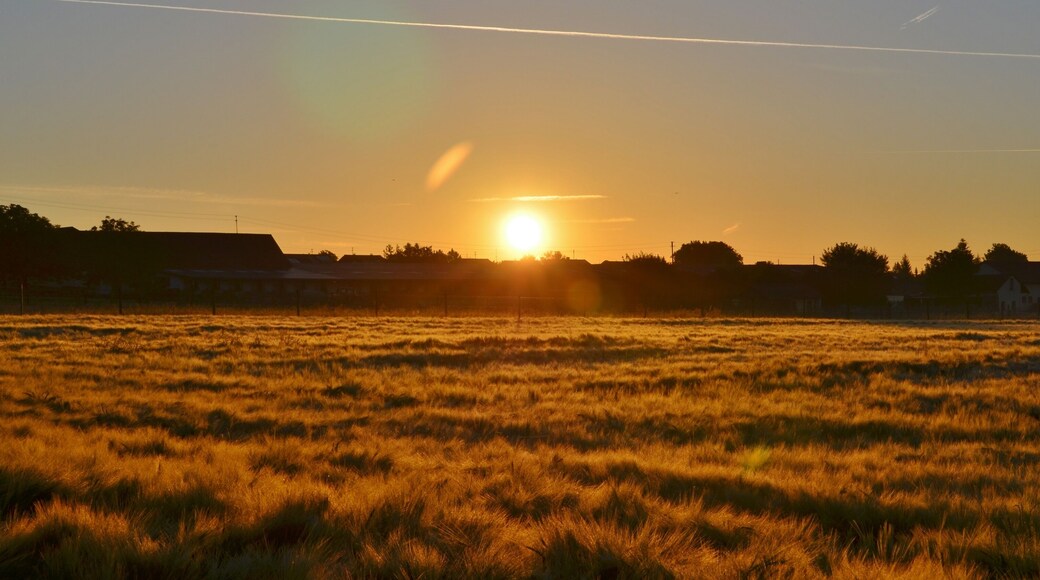 Sonnenaufgang über Dagersheim