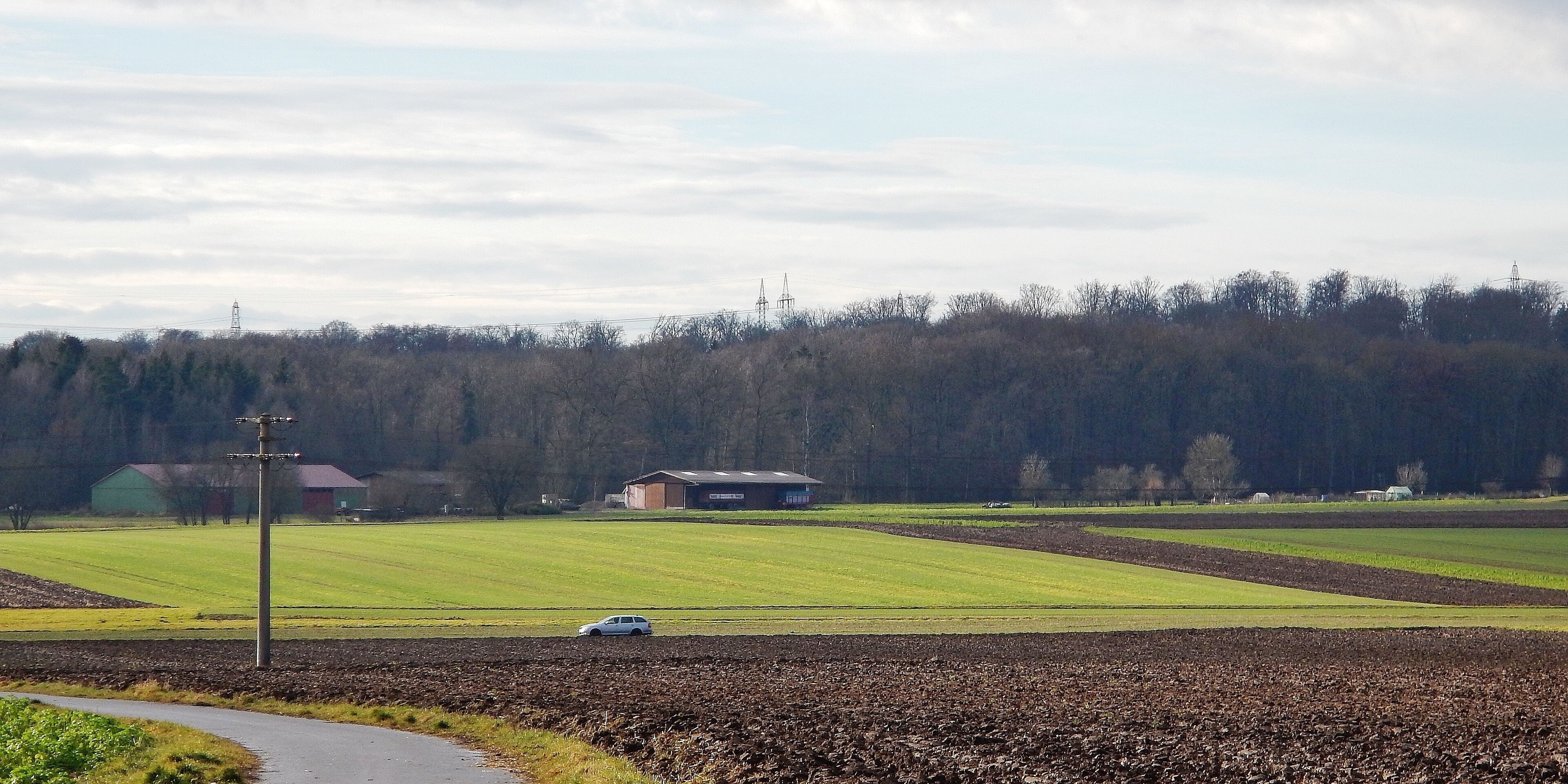 Blick über den Stöckachgraben zum Waldrand