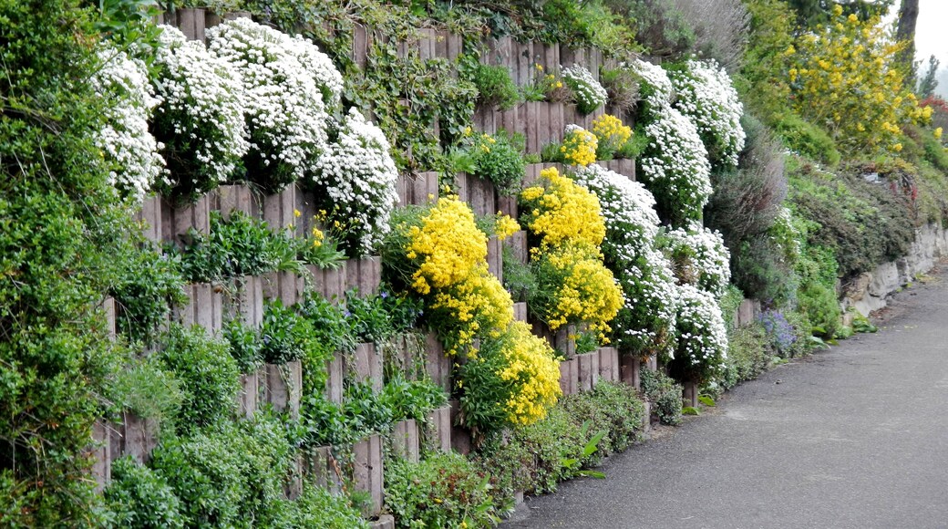 Mauer an der Mühlgasse in Dagersheim