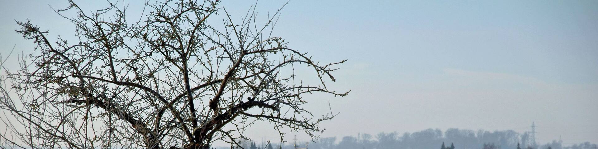 Evangelische Kirche in Dagersheim