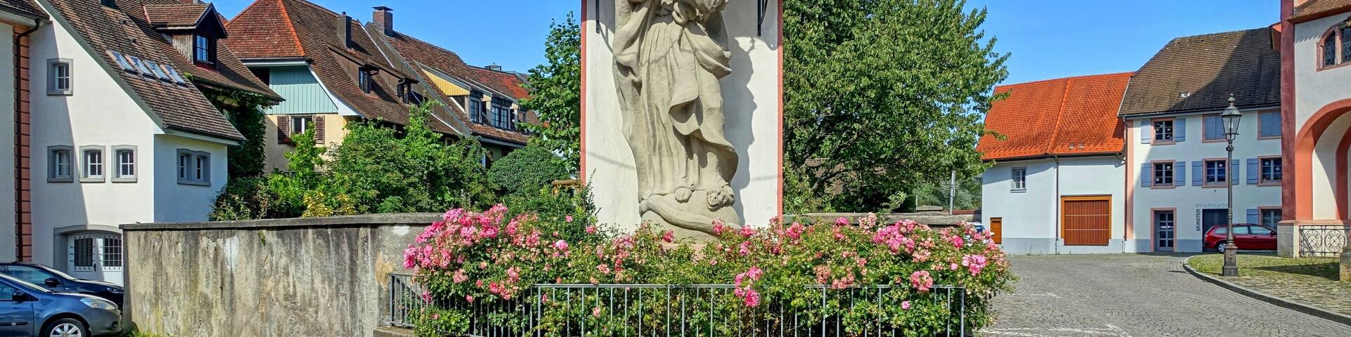 Die Marienstatue steht an der Nordseite des MĂŒnsters vor der Mauer des Pfarrgartens. FrĂŒher befand sich hier der Friedhof. Die Statue wird durch eine kunstvoll geschwungene Ăberdachung und eine RĂŒckwand geschĂŒtzt. Die etwa vier Meter hohe Marienstatue wurde 1727 geschaffen und in der Fassadenmitte zwischen den MĂŒnstertĂŒrmen aufgestellt. Sie hat den Brand des MĂŒnsters im Jahr 1751 ĂŒberstanden. Starke Verwitterung hatte den Sandstein dieser Statue so stark geschĂ€digt, dass sie durch eine Kopie ersetzt werden musste. Am jetzigen Standort steht die Madonna von 1727 seit dem Jahr 1913. Durch mehrere fachgerechte Restaurierungen ist nicht mehr erkennbar, dass es sich hier um die Original-Statue handelt. Kunstgeschichtlich wird dieser Madonnentypus als "Immaculata" (Der unbefleckten EmpfĂ€ngnis) bezeichnet. Das Haupt Marias ist von zwölf Sternen umkrĂ€nzt, die Schlange als Symbol der SĂŒnde, die sich um die Weltkugel windet, wird von Maria zertreten. Die Zahl zwölf steht fĂŒr: die zwölf StĂ€mme Israels, die zwölf Apostel, die zwölf Tierkreiszeichen, die zwölf Monate â symbolhaft fĂŒr Vollkommenheit und VollstĂ€ndigkeit. Da die Europafahne am 8. Dezember 1955, einem Marienfeiertag, vom Ministerrat in der bestehenden Form bestimmt wurde, wird sie in Verbindung mit Maria gebracht. Besonders die blaue Farbe und auch die zwölf Sterne sind ein symbolhafter Hinweis. Die zwölf goldenen Sterne auf blauem Hintergrund versinnbildlichen sĂ€mtliche europĂ€ischen Nationen, eben als Symbol der VollstĂ€ndigkeit. Die Marienstatue hat der aus Bayern stammende Bildhauer Michael Speer im Jahr 1727 geschaffen. Der graue Sandstein stammt aus dem Fricktal.