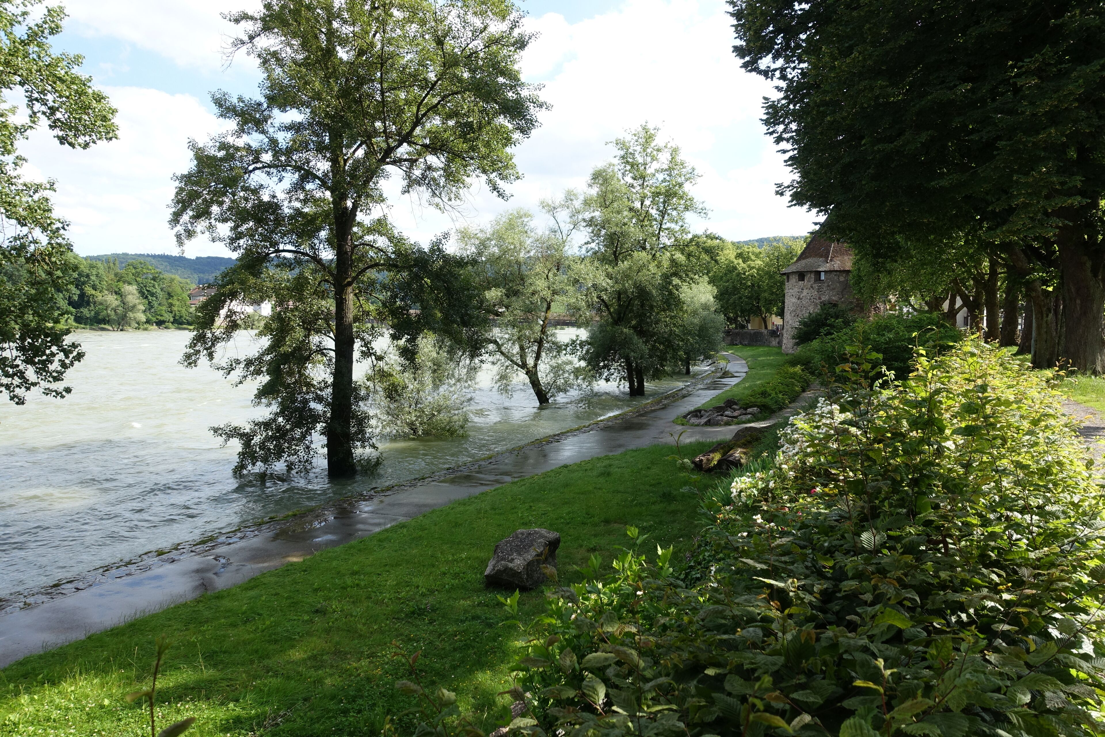Rheinhochwasser Juni 2016