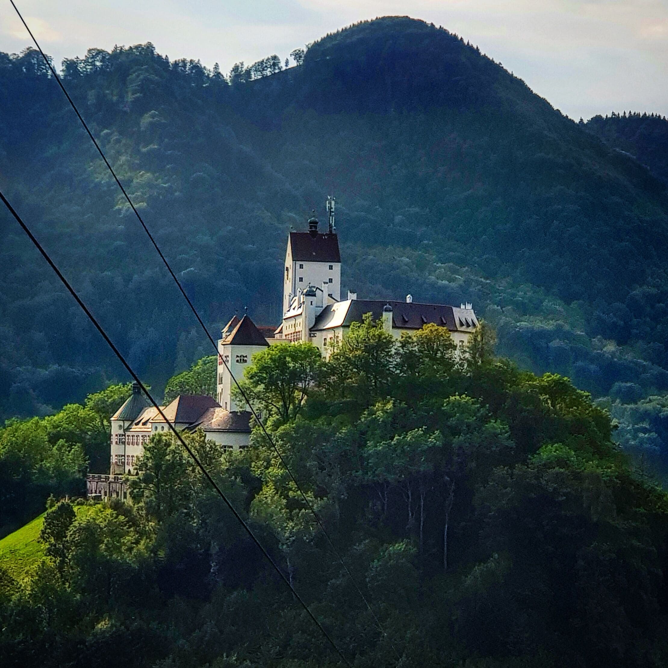 Un castillo en una colina rodeado de bosque.