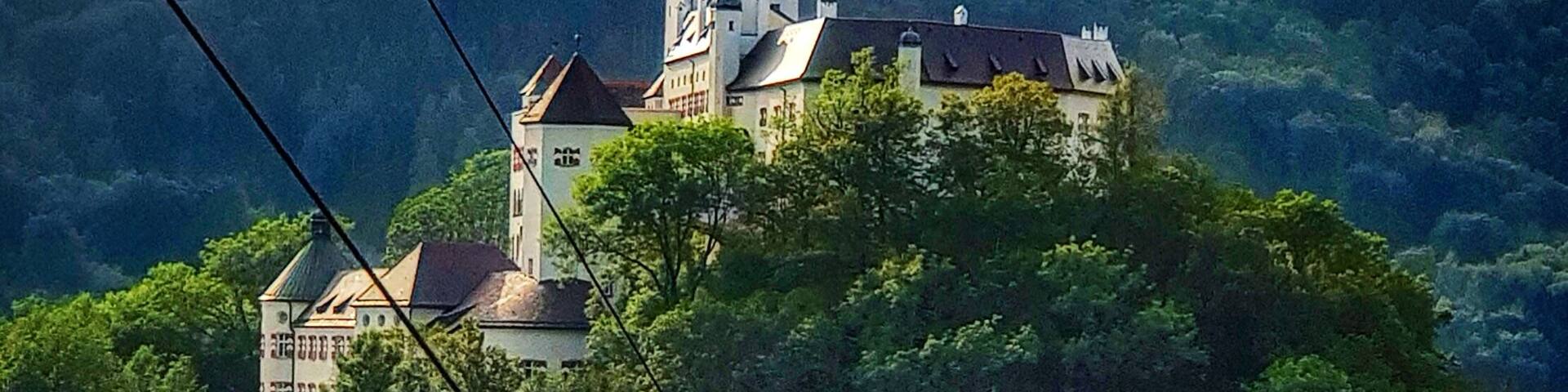 A castle on a hill surrounded by forest.