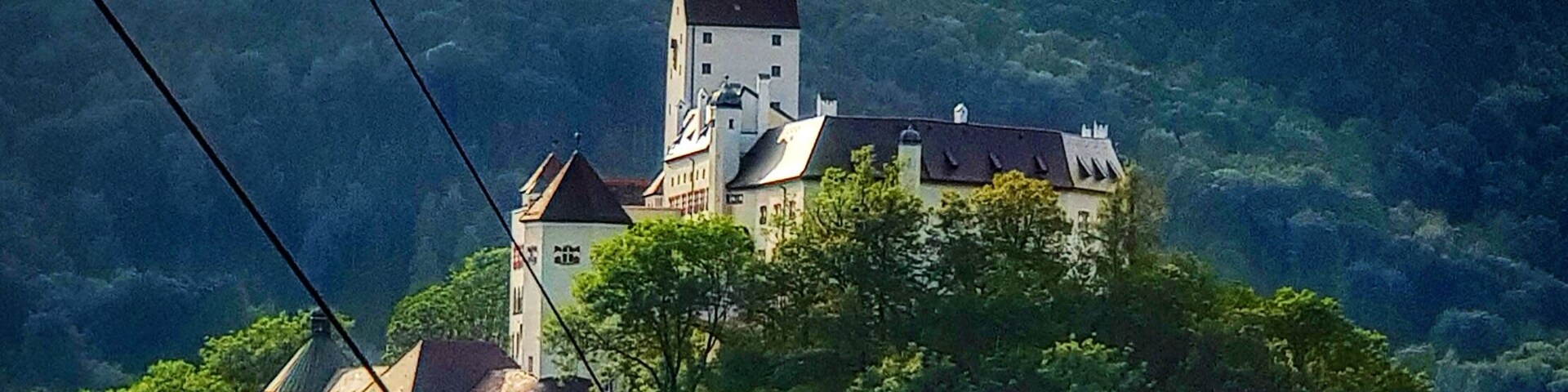 Un castillo en una colina rodeado de bosque.