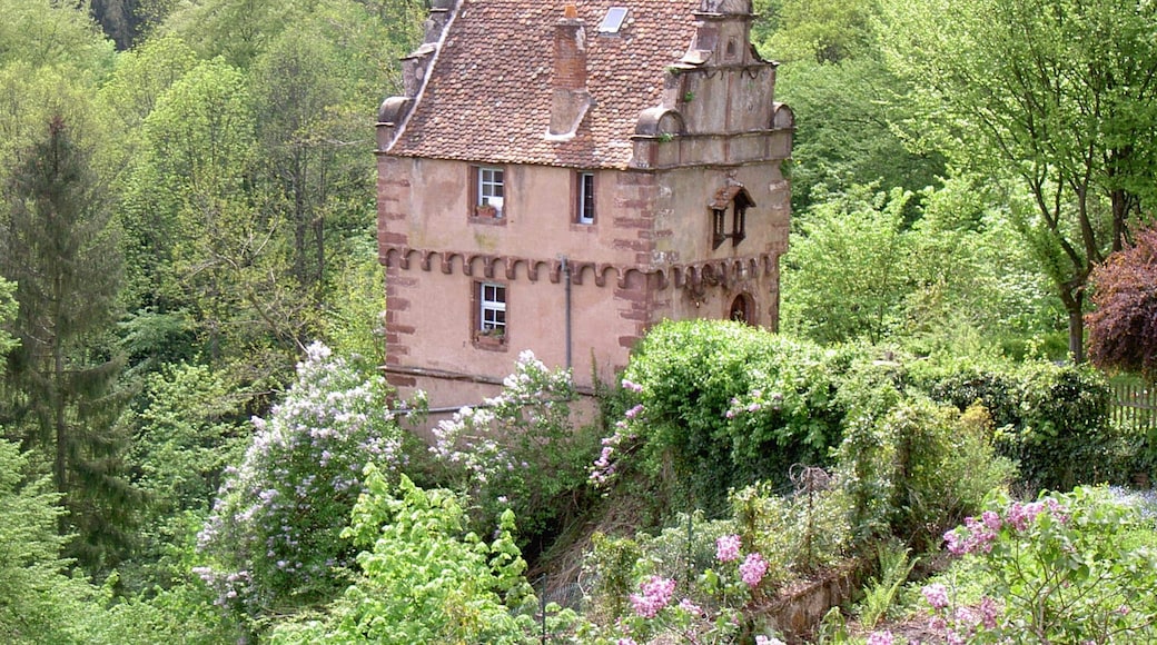 Nordvogesen 2004 La Petite Pierre Maison des Paiens