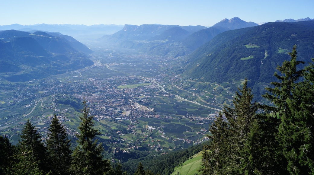 Vom Gasthaus Mutkopf schauen wir auf Meran und ins Etschtal südwärts.