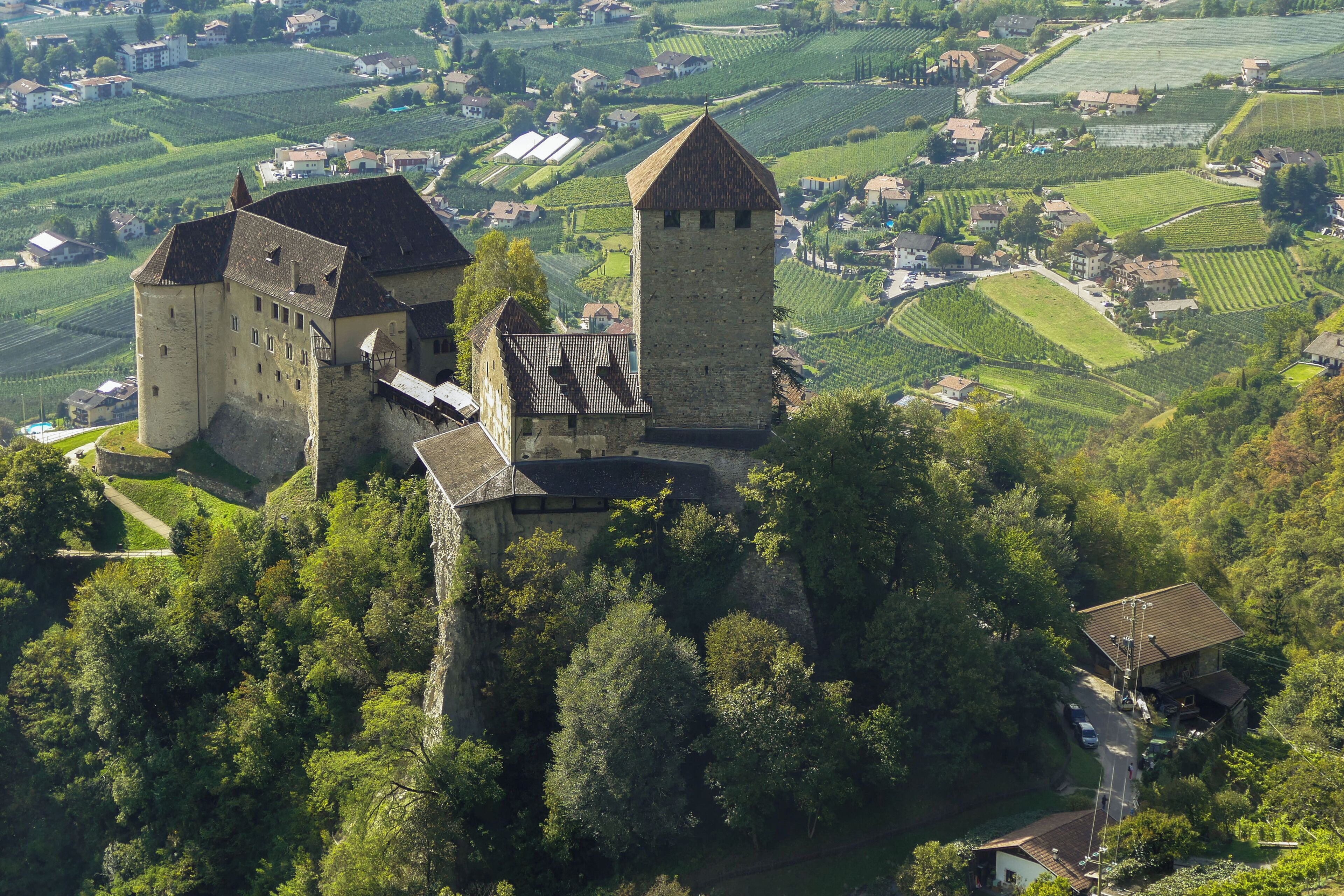 A medieval castle surrounded by lush greenery and vineyards.